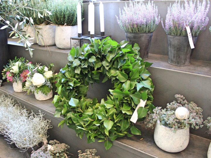 Eröffnung am 9.9. Herzlich willkommen an der Spitalgasse 27, Bern!